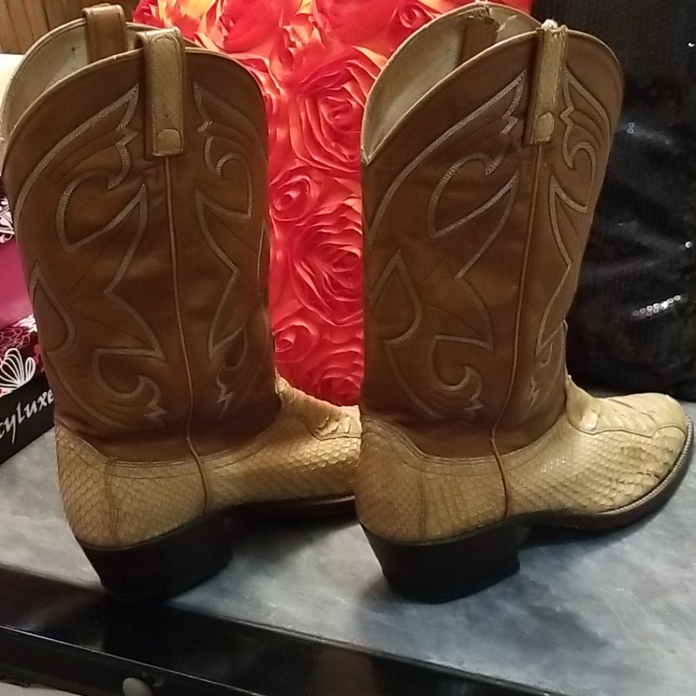 Dan Post Python - image 7